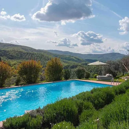 Appartement Plum Guide - Wild Olive *